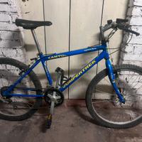 Bici funzionante mountain bike