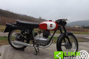 Gilera 150 Sport anno 1955 restaurata radiata