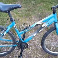 Mountain Bike Nuzzi 26