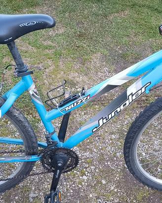 Mountain Bike Nuzzi 26
