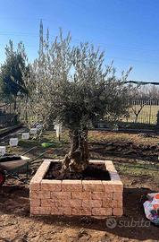 Bordure per aiuole in marmo rosso verona