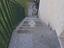 Immagine 21