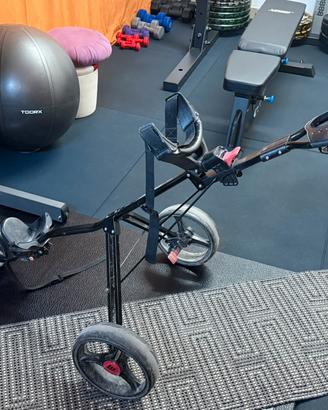 Carrello golf