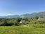 Immagine 23