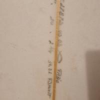 surfboard al merrick fishcuit