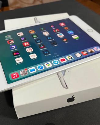 Ipad mini 5