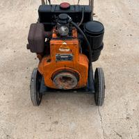 Gruppo Elettrogeno diesel Lombardini carrellato