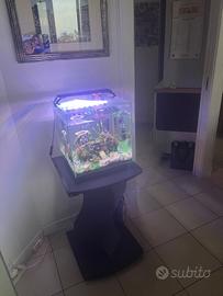 Acquario