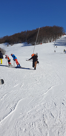 Multi proprietà a Sappada