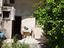 Immagine 11