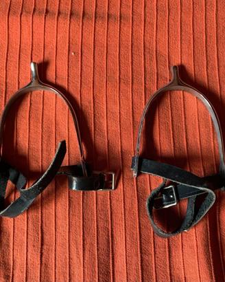 Speroni equitazione (cavallo)