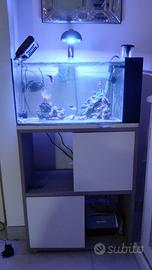 Acquario marino