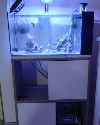 Acquario marino