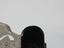 Immagine 17