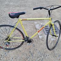 bicicletta uomo 