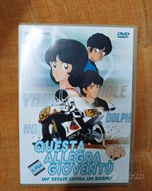 Dvd Questa allegra gioventù