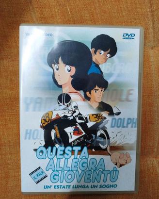 Dvd Questa allegra gioventù