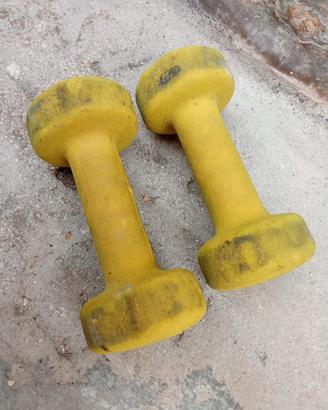 Pesi per fare palestra