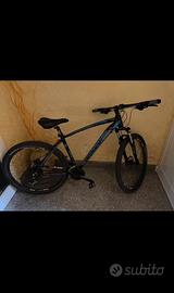MTB  Olympia Drake 29