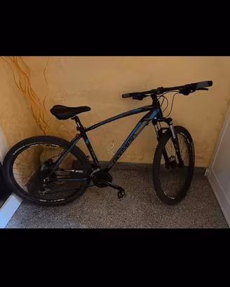 MTB  Olympia Drake 29