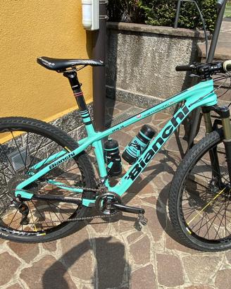 Bianchi methanol sl 29.9