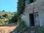 Immagine 8