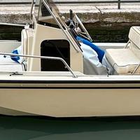 Boston Whaler 17