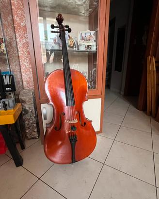 Violoncello 2/4