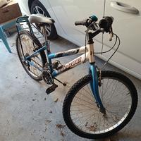 bici montana ruota diam 24