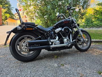 Harley Davidson softail 