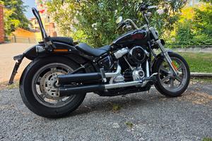 Harley Davidson softail 