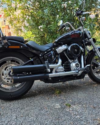 Harley Davidson softail 