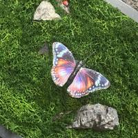 Quadretto con il muschio stabilizzato