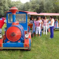 TRENINO lillipuziano