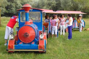 TRENINO lillipuziano