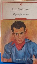 libro_"Il garofano rosso"