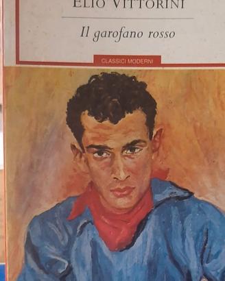 libro_"Il garofano rosso"