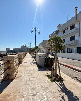 3 LOCALI A GIOVINAZZO