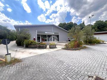 CAPANNONE A POZZOLENGO