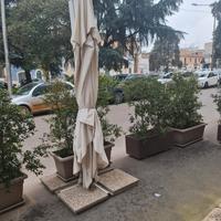 fioriere e ombrellone