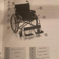 Sedia a rotelle ad autospinta