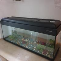 Acquario grande 100x30x47 cm + mobile + accessori 