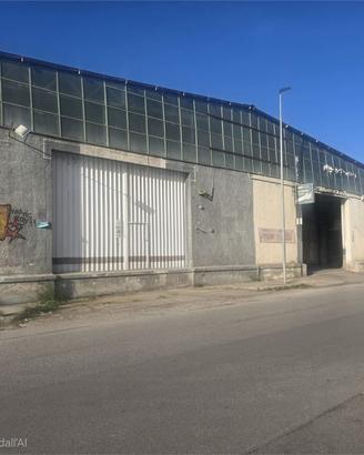 V.LE REG. SICILIANA: LOCALE ADIBITO A CAPANNONE