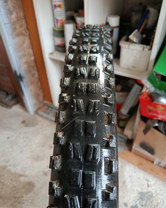 copertone maxxis dhf
