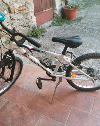 Rockrider 20' bimbo/a