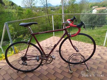 Cinelli Proxima gruppo Campagnolo 