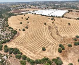 Terreno a Noto (SR)