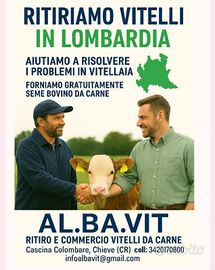 Ritiro vitelli baliotti