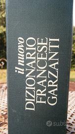 dizionario francese