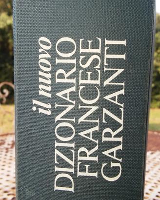dizionario francese